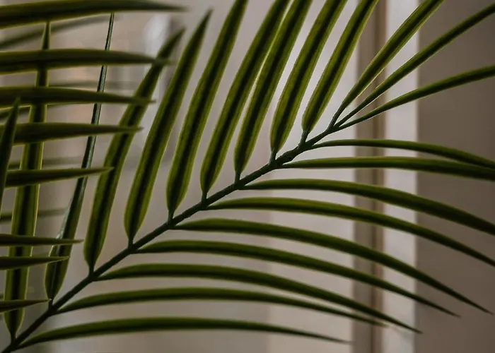 - Monolocale Con Piscina Apartamento Rapallo